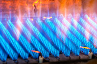 Baglan gas fired boilers